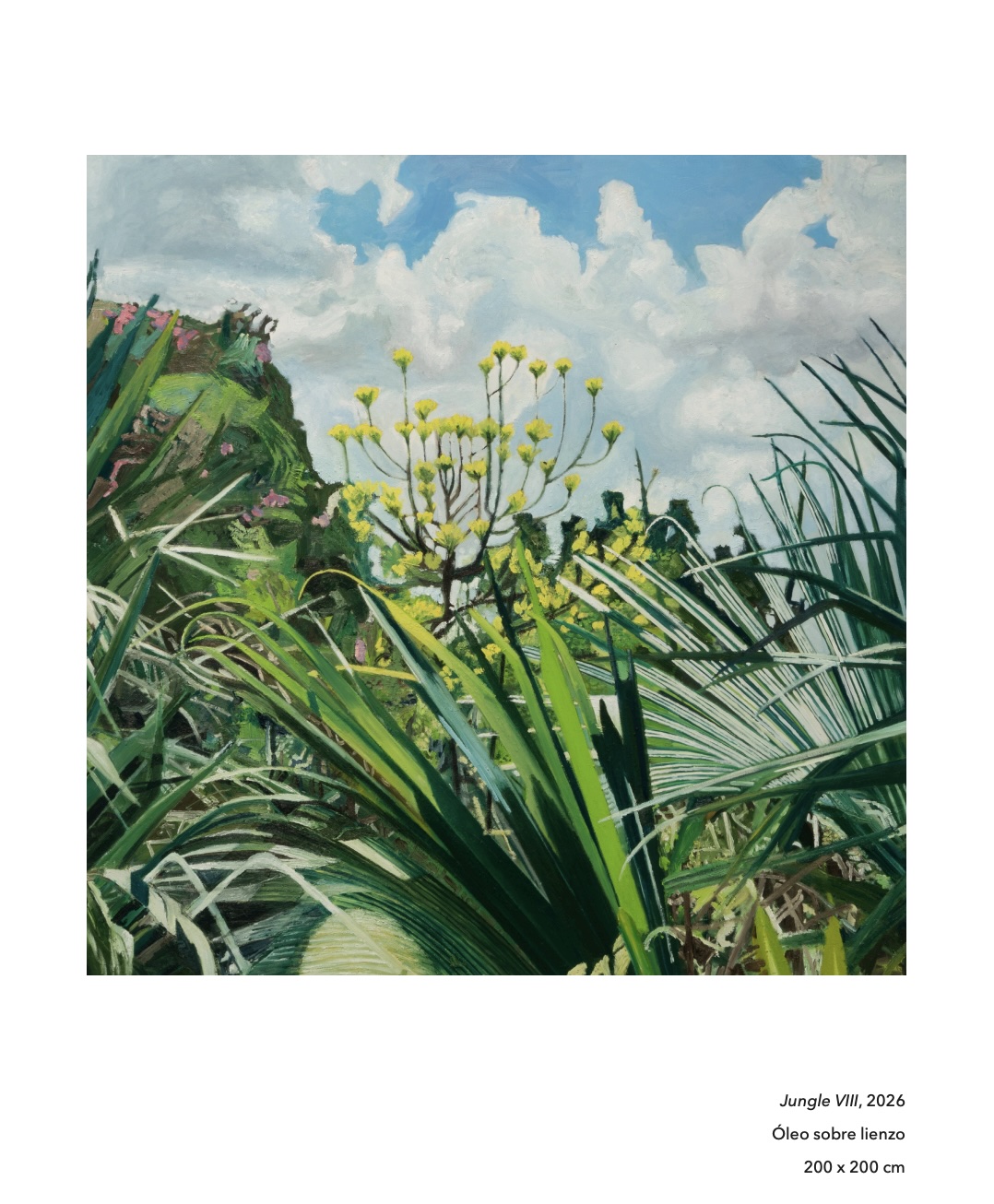Jungle 06 
